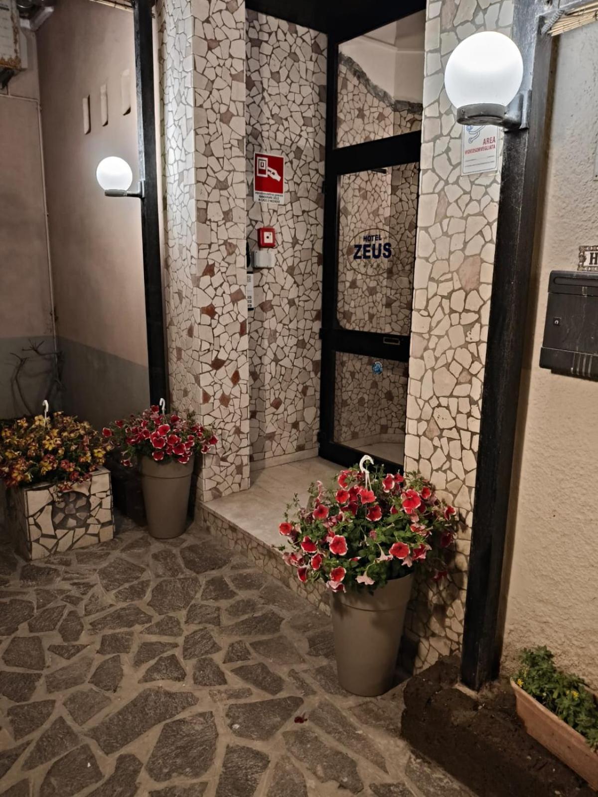 Hotel Zeus Lido di Classe Zewnętrze zdjęcie